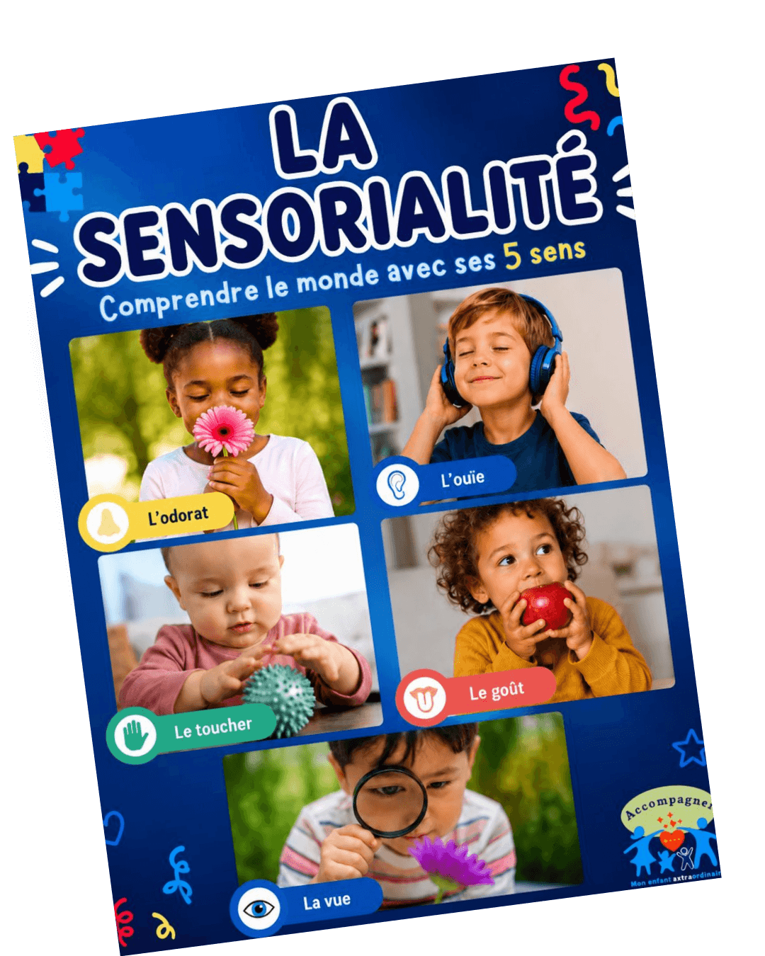 La sensorialité